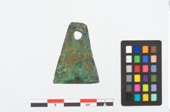 Foto von Bronzeachsnagel (NHMW-PRAE-025272)